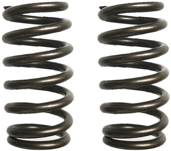 Compatible with 2PCS Valve Spring 3900276 for Case-IH Tractor Models 1896 2096 5120.