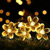 Solar-Powered String Lights (Blossom Flower)