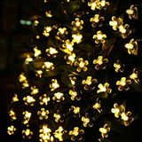 Solar-Powered String Lights (Blossom Flower)