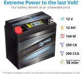 Rechargeable YTX14-BS iGel Powersport Battery- Sealed, AGM Maintenance Free Battery- Chrome Pro Battery
