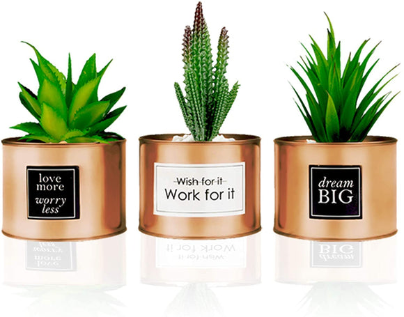 Office Decor for Women Desk - Desk Decor for Women, Bedroom Decor for Women - Desk Decorations for Women Office - Bookshelf Decor, Boho Home Decor, Fake Cactus Office Plant Decor for Cubicle Decor