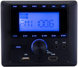 RecPro RV Stereo AM/FM Radio with Bluetooth | Aux-in | HDMI | 4-Channel Audio | RV Sound System