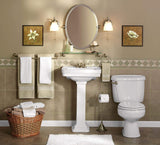 Moen DN6890BN Sage Glass Bathroom Vanity Shelf, Brushed Nickel
