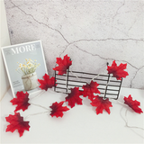 Maple Leaves String Lights